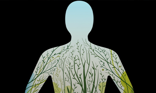 Repair Regrow- Stupp